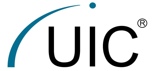 IUIC – Intercultural User Interface Consulting